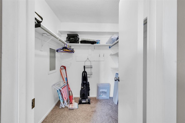 walk in closet featuring carpet and electric panel
