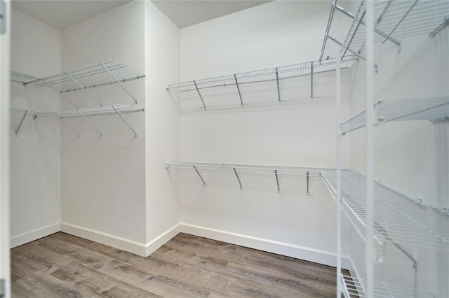 spacious closet featuring hardwood / wood-style floors