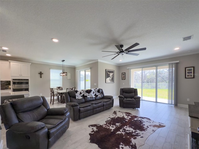 living area with light wood finished floors, baseboards, visible vents, ornamental molding, and a textured ceiling