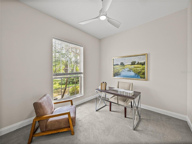 office featuring ceiling fan and carpet floors