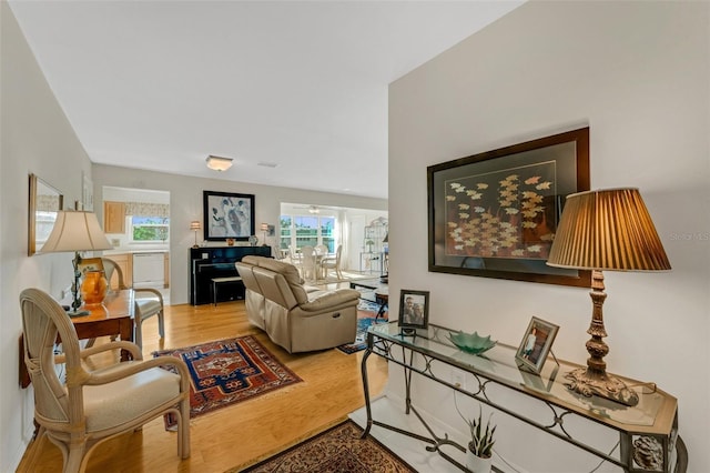 living room featuring light wood-type flooring