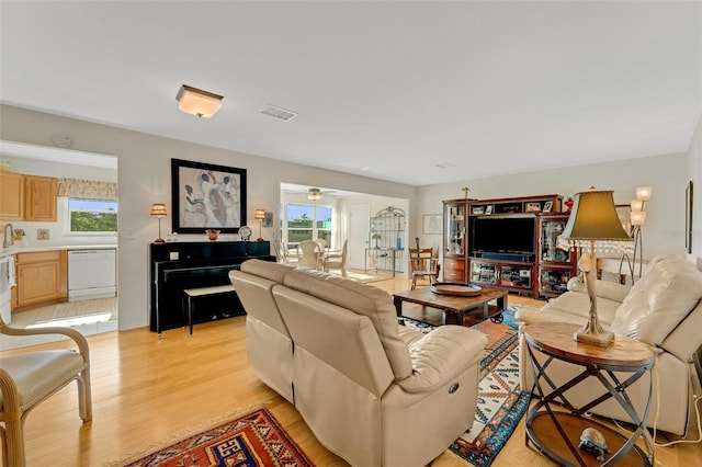 living area featuring light wood finished floors, plenty of natural light, visible vents, and a ceiling fan