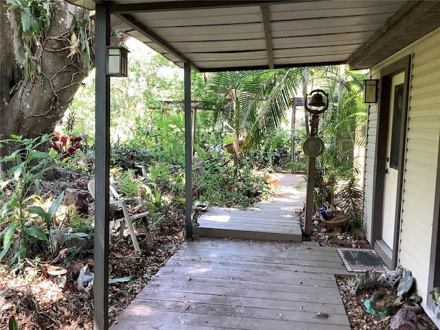 16921 Crawley Rd, Odessa, FL 33556 - photo 3
