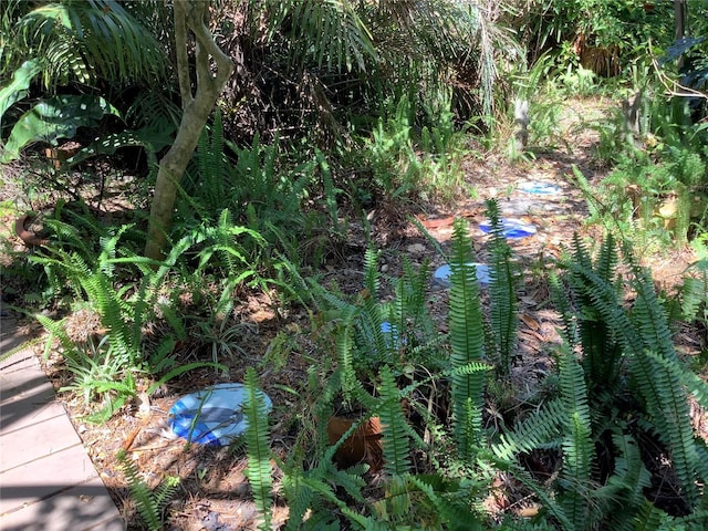 16921 Crawley Rd, Odessa, FL 33556 - photo 27