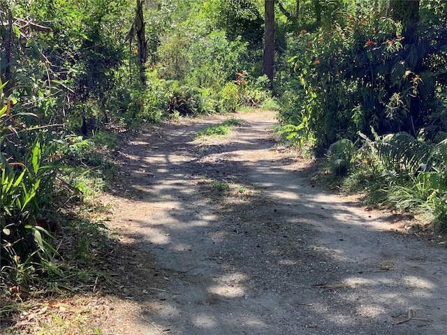 16921 Crawley Rd, Odessa, FL 33556 - photo 28