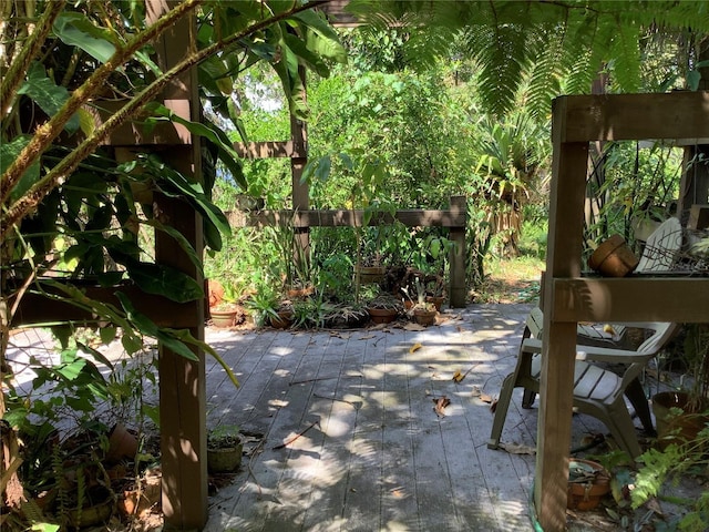 16921 Crawley Rd, Odessa, FL 33556 - photo 29