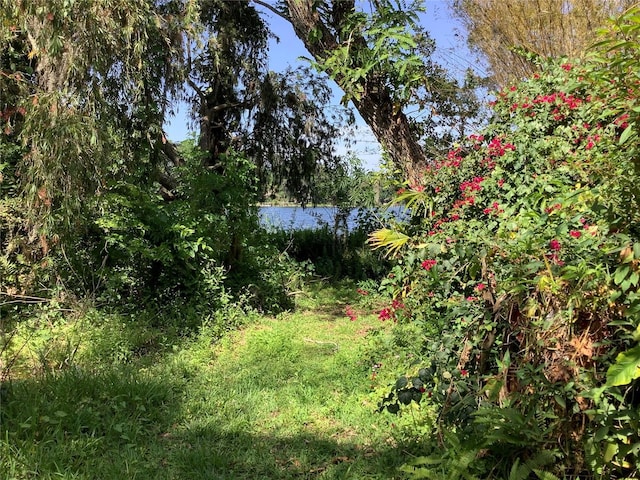 16921 Crawley Rd, Odessa, FL 33556 - photo 30