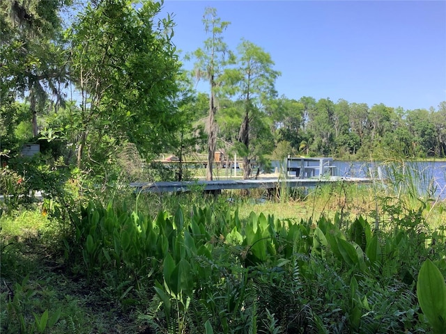 16921 Crawley Rd, Odessa, FL 33556 - photo 31