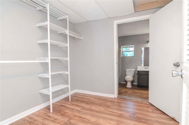 spacious closet with hardwood / wood-style flooring and a drop ceiling