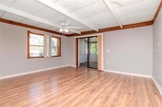 unfurnished room featuring ceiling fan and light hardwood / wood-style floors