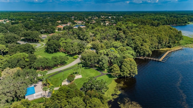 birds eye view of property with a forest view and a water view