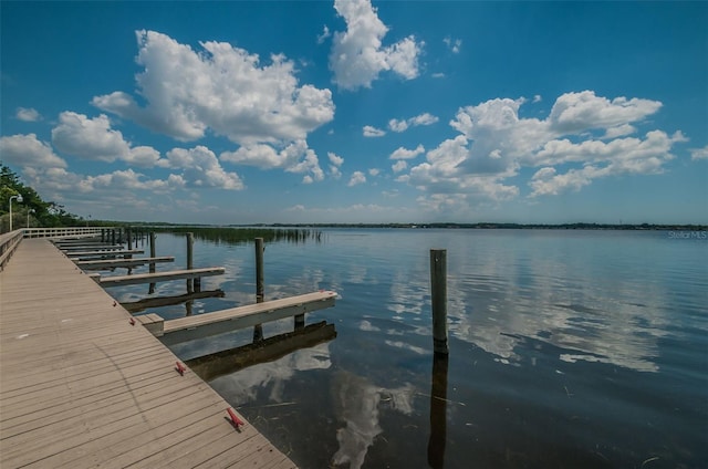 dock area featuring a water view