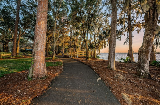 view of property's community with driveway and a water view