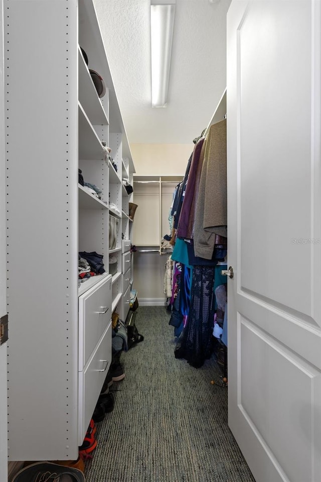 spacious closet featuring dark colored carpet