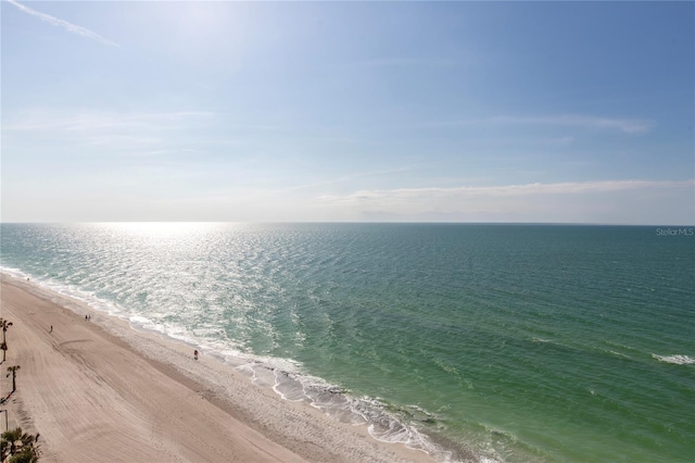 view of water feature featuring a view of the beach