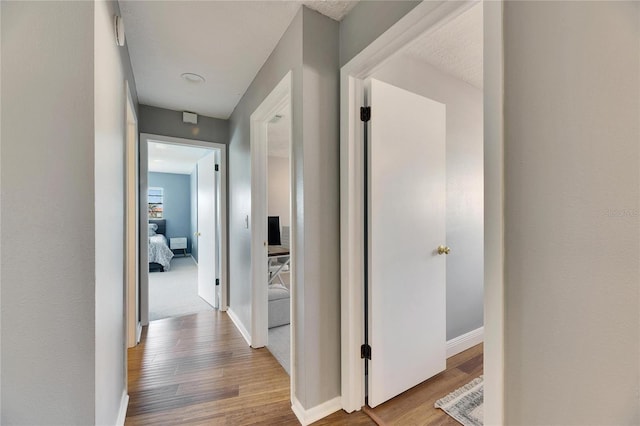 811 Eagle Ln, Apollo Beach, FL 33572 - hall with wood finished floors