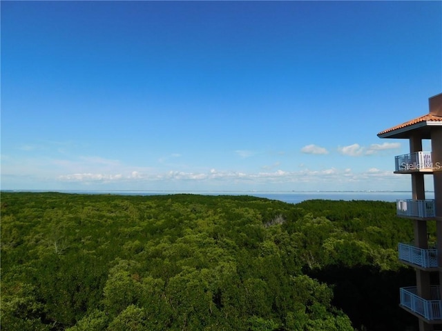 view of nature featuring a water view and a wooded view