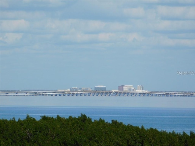 property view of water