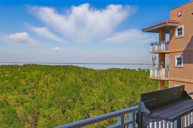 water view with a view of trees