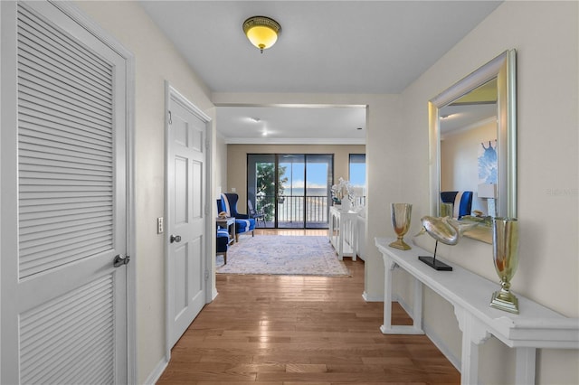 hallway with crown molding and wood-type flooring