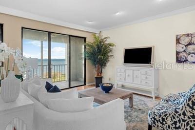 living room featuring crown molding