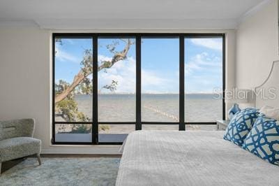 bedroom featuring a water view