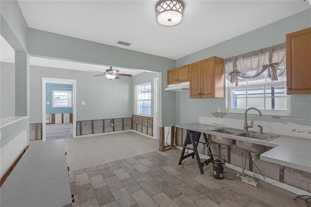 kitchen featuring plenty of natural light, light countertops, a sink, and visible vents