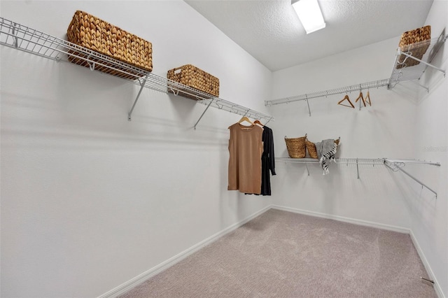 walk in closet featuring carpet