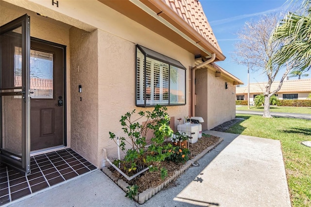 doorway to property with a yard and stucco siding