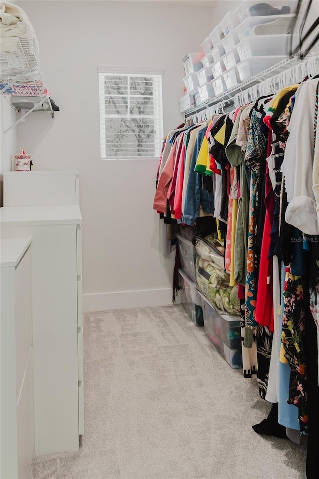 spacious closet with light colored carpet