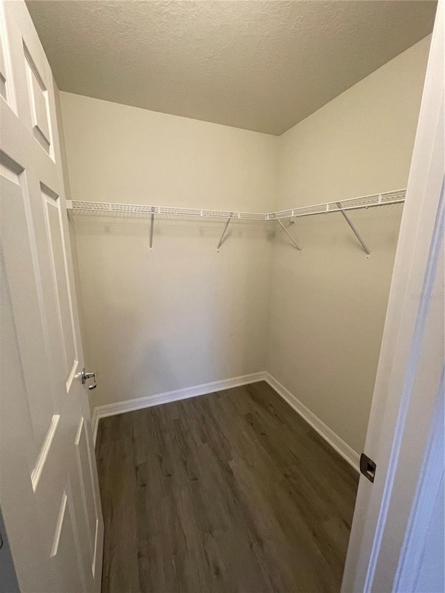 spacious closet featuring dark wood-type flooring