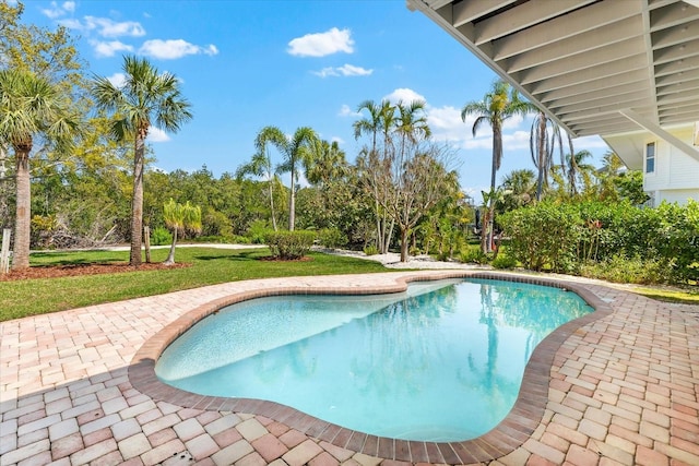 pool featuring a yard and a patio area