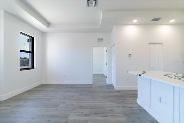 spare room with a raised ceiling and light hardwood / wood-style flooring