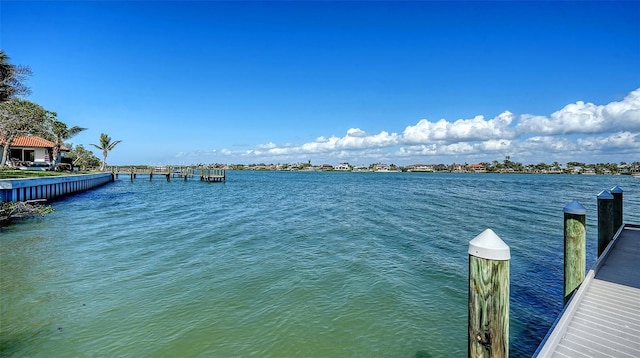 dock area with a water view