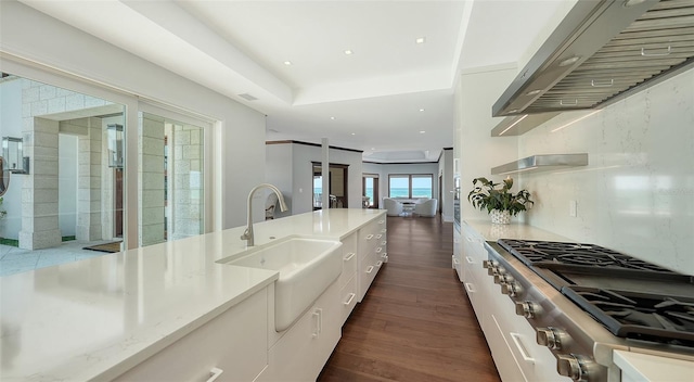 kitchen with range, dark wood-style flooring, light countertops, under cabinet range hood, and a sink