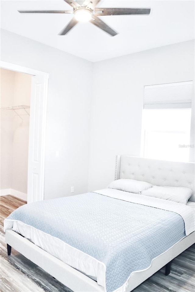 bedroom featuring a walk in closet, a closet, a ceiling fan, wood finished floors, and baseboards