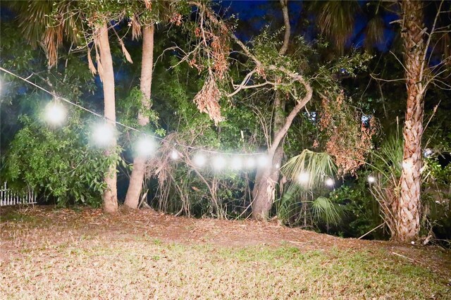 809 30th Ct E, Bradenton, FL 34208 - view of yard