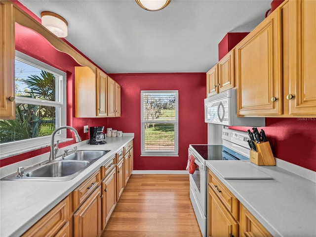 kitchen featuring white appliances, light wood-style flooring, light countertops, and a sink