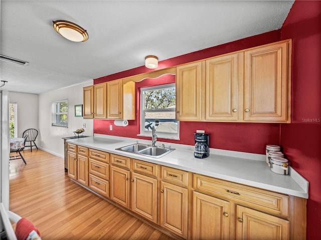 kitchen with baseboards, visible vents, light wood-style flooring, light countertops, and a sink