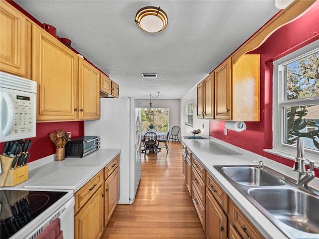 kitchen featuring pendant lighting, light countertops, a sink, light wood-type flooring, and white appliances