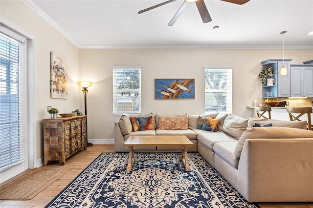 4301 W San Luis St, Tampa, FL 33629 - living area with crown molding, plenty of natural light, baseboards, and wood finished floors