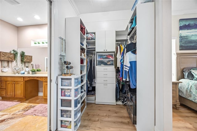 4301 W San Luis St, Tampa, FL 33629 - walk in closet with light wood-style flooring and visible vents
