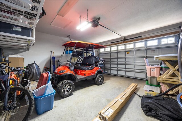4301 W San Luis St, Tampa, FL 33629 - garage featuring a garage door opener