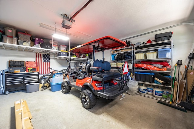 4301 W San Luis St, Tampa, FL 33629 - garage with a garage door opener