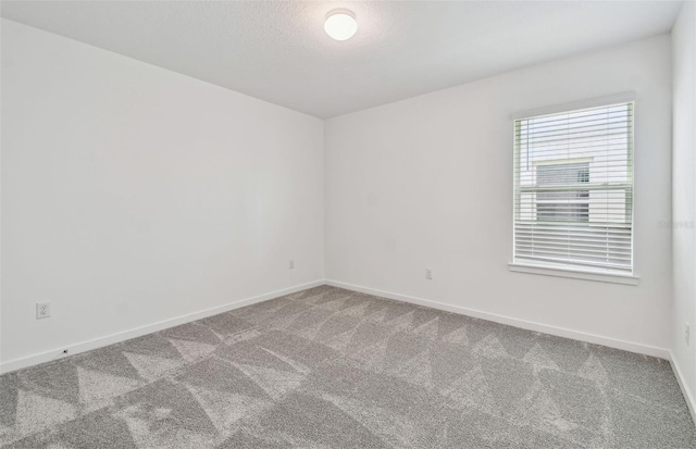 10352 Cross River Trl, Parrish, FL 34219 - carpeted empty room with baseboards