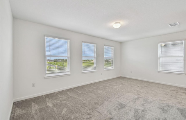 10352 Cross River Trl, Parrish, FL 34219 - carpeted empty room with baseboards