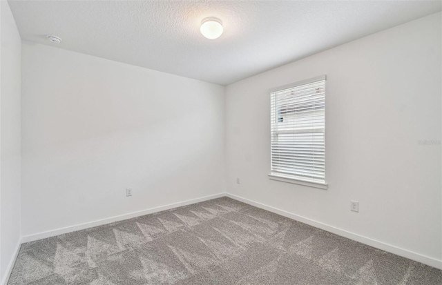 10352 Cross River Trl, Parrish, FL 34219 - spare room featuring carpet floors, baseboards, a smoke detector, and a textured ceiling
