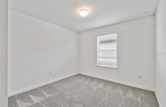10352 Cross River Trl, Parrish, FL 34219 - spare room with carpet floors, baseboards, and a textured ceiling