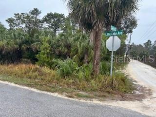 Long Lk, Brooksville FL, 34613 land for sale