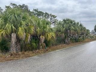 Listing photo 3 for Long Lk, Brooksville FL 34613